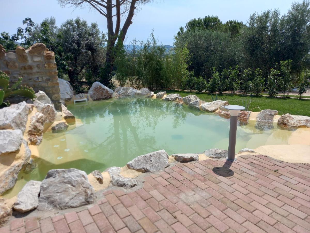 Agriturismo La Fontanella & Glamping Suvereto Bagian luar foto