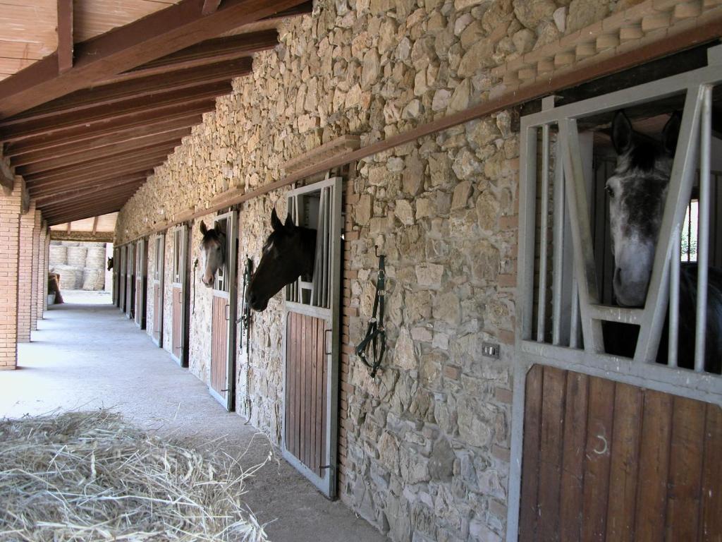 Agriturismo La Fontanella & Glamping Suvereto Bagian luar foto